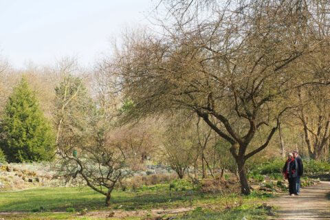 Zum Artikel "Der Aromagarten öffnet am 1. April"